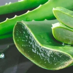aloe-vera-absolu-300x300 Huile aromatique aloe vera absolu
